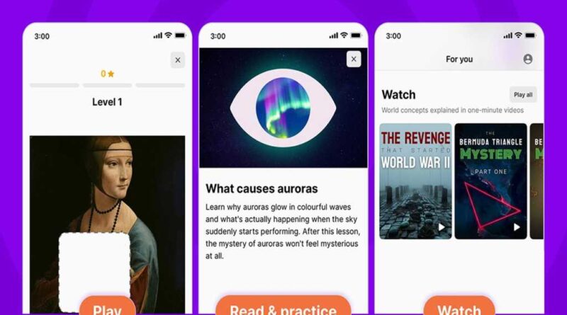 Nibble All-Around Knowledge App (Lifetime Subscription)