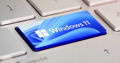 Windows 11