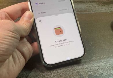 ChatGPT wallet