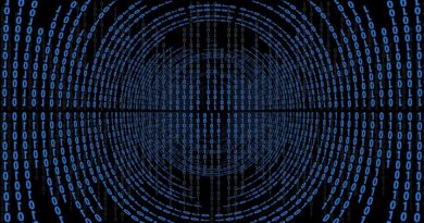 Denmark stands against critics of public sector AI plans