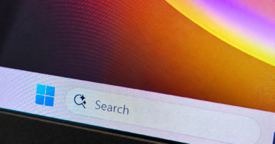 Windows search bar edit